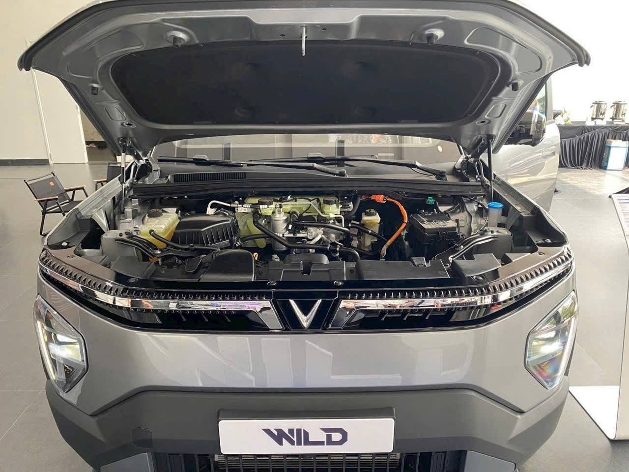 VF Wild - Ảnh 10